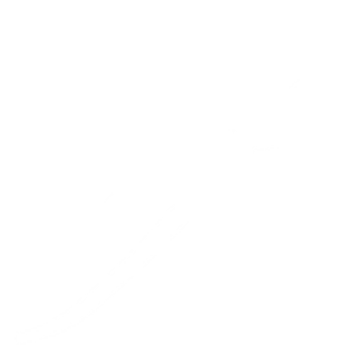 Lindsay Tebeck Logo (an 
